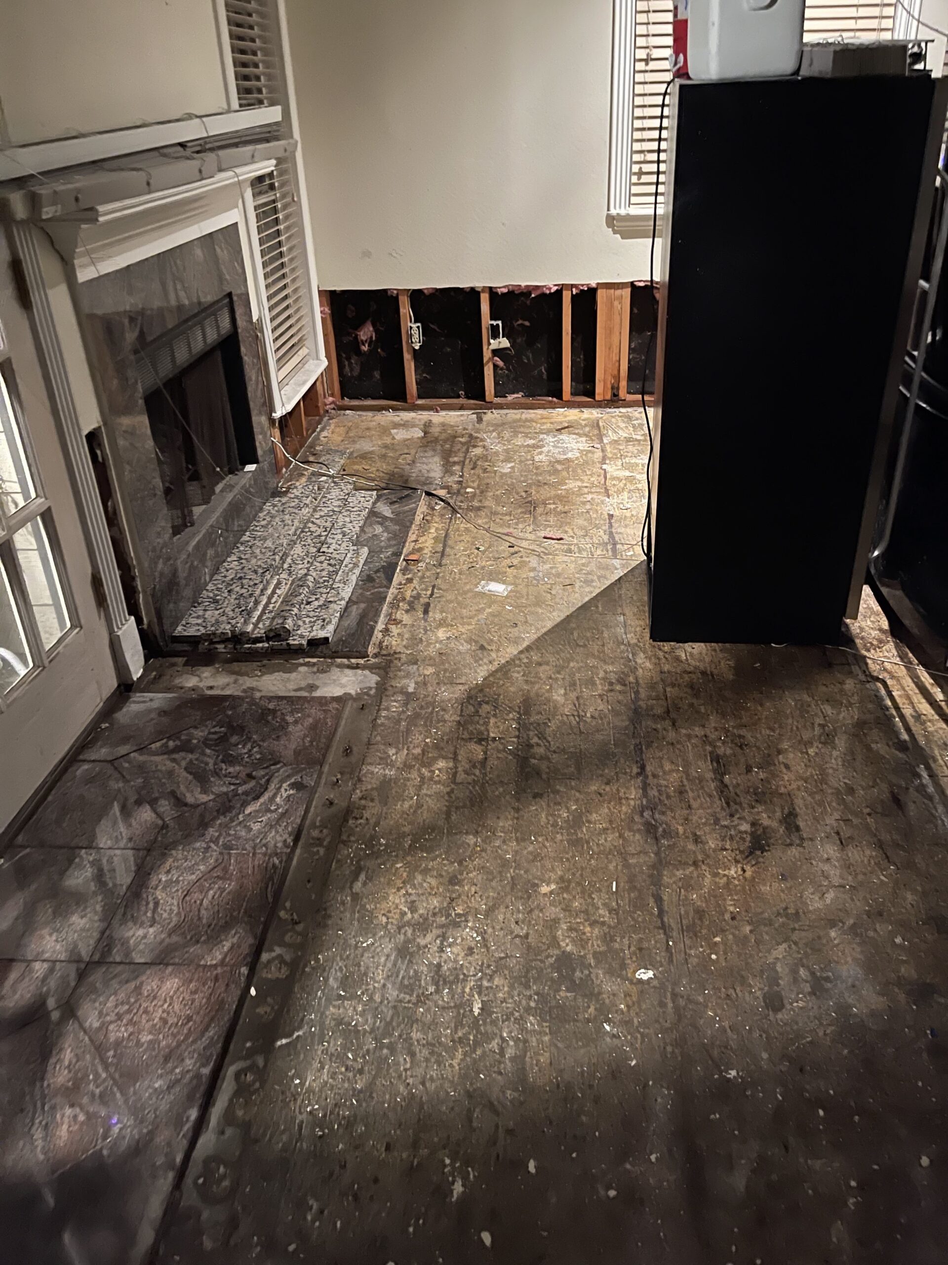 Mold Removal Service