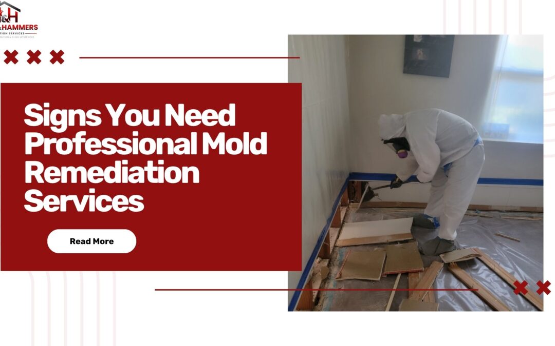An image of a mold remediation technician removing damaged drywall in a sealed room, overlaid by the blog title and a “Read More” button.